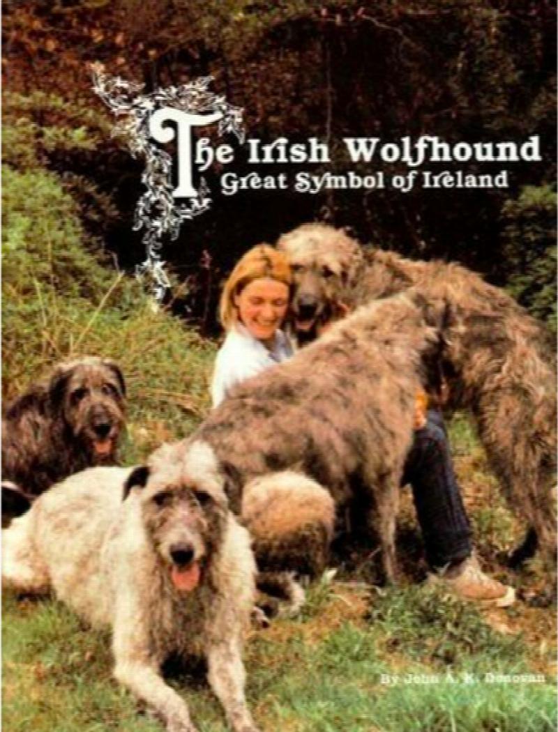 The Irish Wolfhound : Great Symbol of Ireland