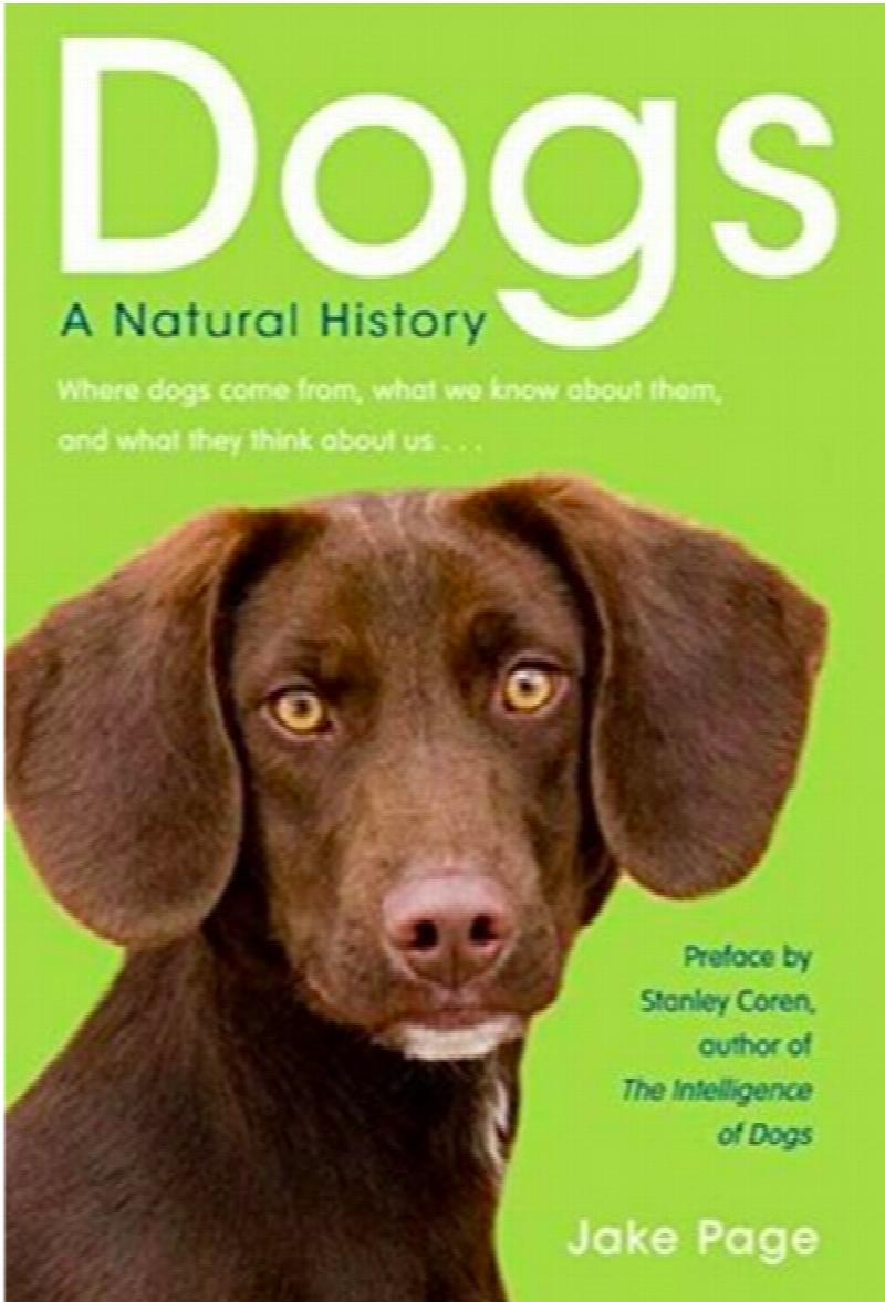 whats the history of dogs