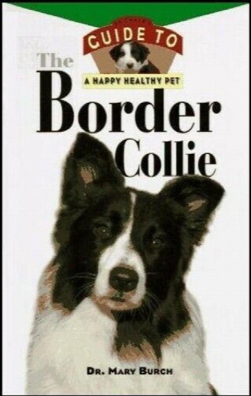 border collie feeding amount guidelines how much to feed