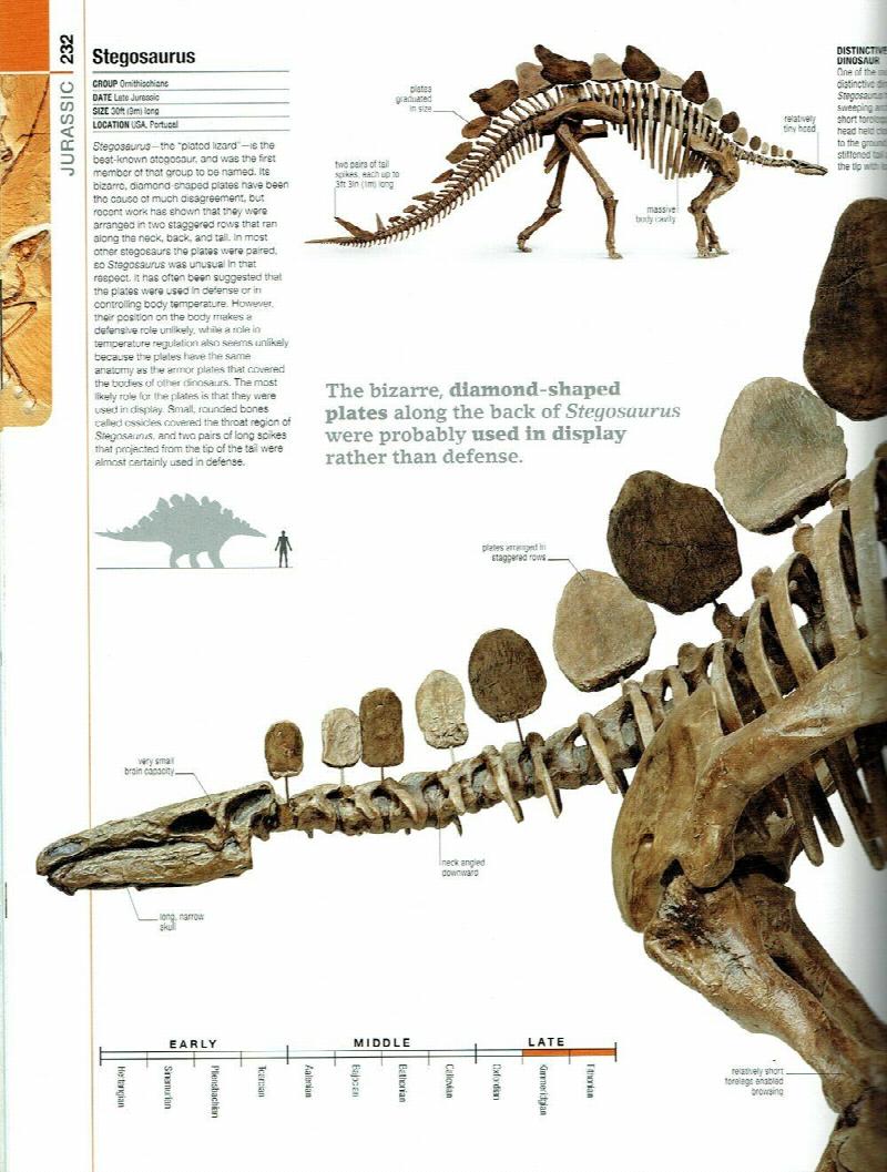 Dinosaur – The Definitive Visual Guide to Prehistoric Animals