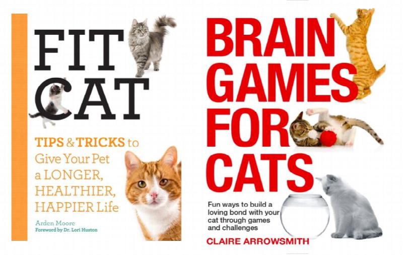 Brain Games for Dogs by Claire Arrowsmith. Book Review